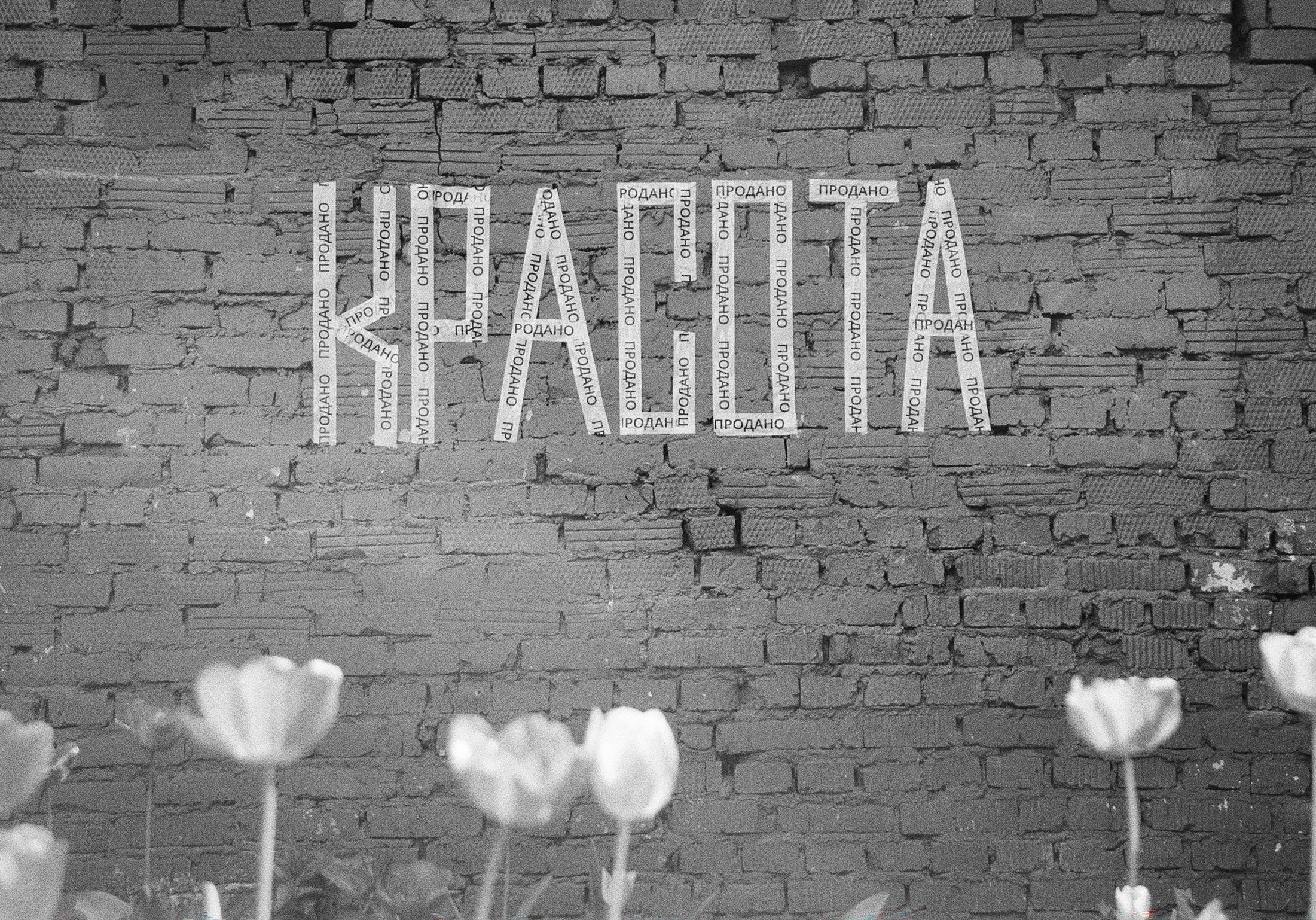 Красота
